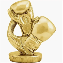 top-5-luchshix-perchatok-dlya-boksa