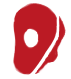 snaryadyi