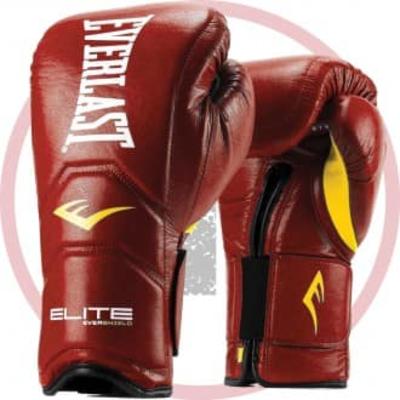 Перчатки Everlast Elite Pro на липучке